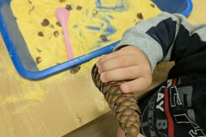 Nidointegrato Raggiodisole 01