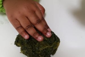 Nidointegrato Raggiodisole 04