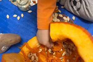 Nidointegrato Raggiodisole 05