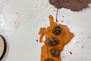 Nidointegrato Raggiodisole 06