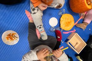 Nidointegrato Raggiodisole 13